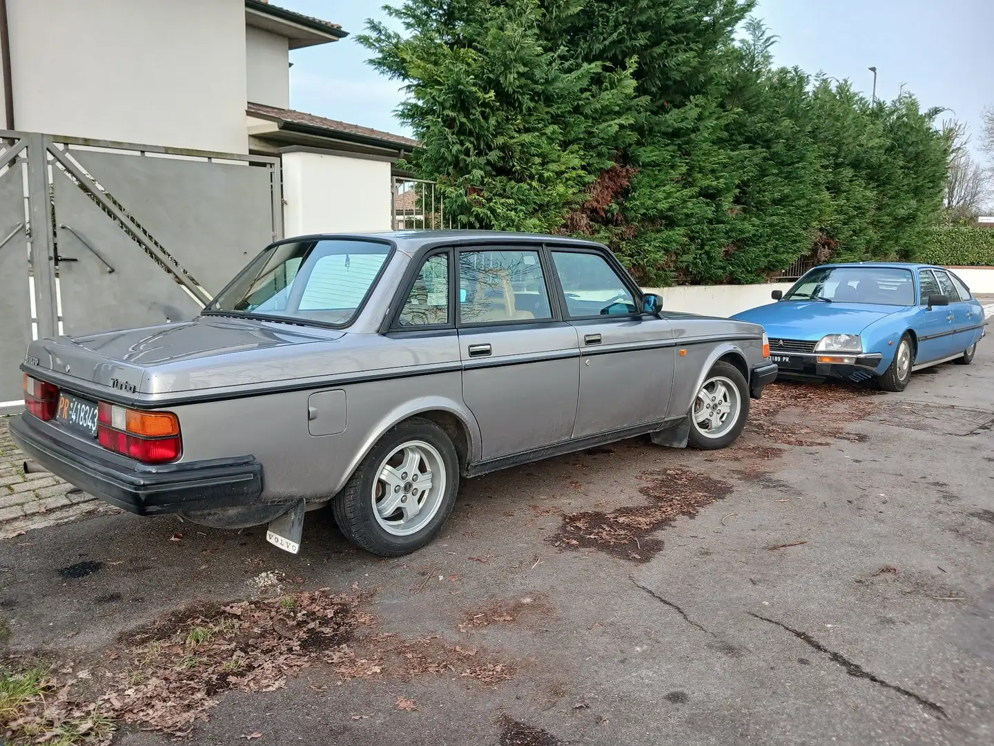 Volvo 244 turbo - 2