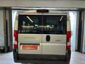 Fiat Ducato 2.3 MJT 150CV PANORAMA 9 POSTI Gris - thumbnail 7