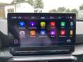 CUPRA Leon Sportstourer Basis 2.0 TDI EU6d DPF Grau - thumbnail 20