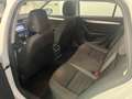 Skoda Octavia Octavia Wagon 2.0 tdi Executive 150cv dsg Bianco - thumbnail 11