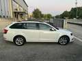 Skoda Octavia Octavia Wagon 2.0 tdi Executive 150cv dsg Bianco - thumbnail 3