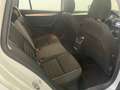 Skoda Octavia Octavia Wagon 2.0 tdi Executive 150cv dsg Bianco - thumbnail 12