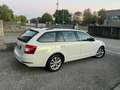 Skoda Octavia Octavia Wagon 2.0 tdi Executive 150cv dsg Bianco - thumbnail 4