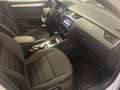 Skoda Octavia Octavia Wagon 2.0 tdi Executive 150cv dsg Bianco - thumbnail 13