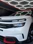 Citroen C5 Aircross 1.5 bluehdi Shine s&s 130cv eat8 my19 Blanco - thumbnail 19