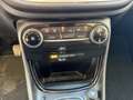 Ford Puma 1.5 Ecoblue Titanium 120 Blanco - thumbnail 15