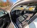 Volkswagen Tiguan Tiguan II 2.0 tdi Executive 4motion 150cv Bianco - thumbnail 5
