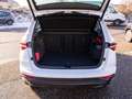 Skoda Karoq Tour 2.0 TDI DSG LED Navi 360° SHZ AHK Weiß - thumbnail 8