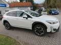 Subaru XV 2.0ie Trend Lineartronic 4WD mit AHK Wit - thumbnail 4
