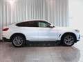 BMW X4 xDrive20d xLine 19Zoll RFK Pano. Navi Weiß - thumbnail 2