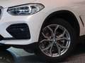 BMW X4 xDrive20d xLine 19Zoll RFK Pano. Navi Weiß - thumbnail 14