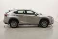 Lexus NX 300 Hybrid Premium 4WD 2.5 Full Hybrid 197CV Gris - thumbnail 6