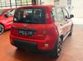 Fiat Panda VAN 1.0 hybrid City Ok neopatentati *PREZZO REALE* Rouge - thumbnail 5