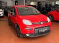 Fiat Panda VAN 1.0 hybrid City Ok neopatentati *PREZZO REALE* Rouge - thumbnail 3