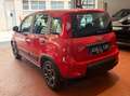 Fiat Panda VAN 1.0 hybrid City Ok neopatentati *PREZZO REALE* Rouge - thumbnail 7