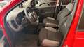 Fiat Panda VAN 1.0 hybrid City Ok neopatentati *PREZZO REALE* Rouge - thumbnail 11