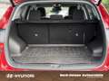 Hyundai TUCSON 1.6 PREMIUM 4WD LED SHZ VORNE KAMERA Rouge - thumbnail 13