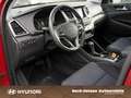 Hyundai TUCSON 1.6 PREMIUM 4WD LED SHZ VORNE KAMERA Rouge - thumbnail 7