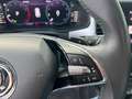 Skoda Kodiaq 1.5 TSI Business Edition Automaat Gris - thumbnail 20