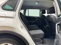 Volkswagen Tiguan 2,0 TDI 4Motion DSG / I.Q. LIGHT-MATRIX-LED/ AC... Weiß - thumbnail 34