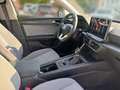 SEAT Leon Style Edition 1.5TSI 115PS Weiß - thumbnail 12