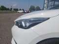 Nissan Micra 1.0L 5 porte Visia Weiß - thumbnail 19