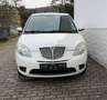 Lancia Ypsilon 1.2 8V Oro Klima Panorama Weiß - thumbnail 8
