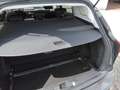Ford Focus Titanium Turnier 1.0 Mild-Hybrid Grau - thumbnail 20
