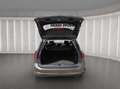 Ford Focus Titanium Turnier 1.0 Mild-Hybrid Grau - thumbnail 18