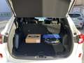 Ford Kuga 1.5 EcoBoost ST-Line FWD 150 Weiß - thumbnail 10