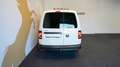 Volkswagen Caddy 2.0 TDI Maxi Kasten BMT Bi Xenon Klima AHK Weiß - thumbnail 3