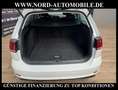Volkswagen Golf Variant R-Line 2.0 TDI DSG Kamera/ACC/SHZ R-Line Blanco - thumbnail 25