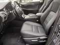 Lexus NX 300 Hybrid 300H 4WD Premium 155 CV Szary - thumbnail 15