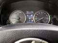 Lexus NX 300 Hybrid 300H 4WD Premium 155 CV Grijs - thumbnail 19