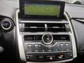 Lexus NX 300 Hybrid 300H 4WD Premium 155 CV Gris - thumbnail 18