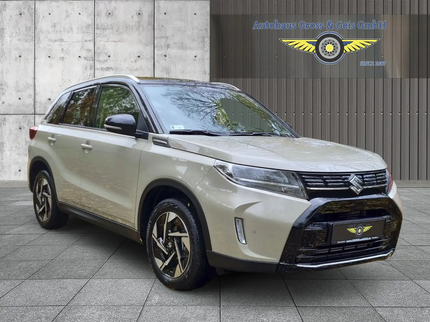Suzuki Vitara 1.4 Comfort Plus 4x4 mit Panoramadach Beige - 2