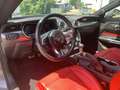 Ford Mustang GT Convertible 5.0 Ti-VCT V8 Aut. +LEDER Grau - thumbnail 10