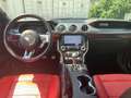 Ford Mustang GT Convertible 5.0 Ti-VCT V8 Aut. +LEDER Grau - thumbnail 14