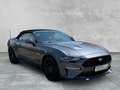 Ford Mustang GT Convertible 5.0 Ti-VCT V8 Aut. +LEDER Grau - thumbnail 7