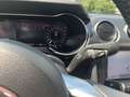 Ford Mustang GT Convertible 5.0 Ti-VCT V8 Aut. +LEDER Grau - thumbnail 23