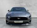 Ford Mustang GT Convertible 5.0 Ti-VCT V8 Aut. +LEDER Grau - thumbnail 8