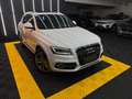 Audi Q5 3.0 TDI quattro PANO*S-Line*Anhängerkupplung Blanc - thumbnail 6