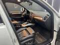 Audi Q5 3.0 TDI quattro PANO*S-Line*Anhängerkupplung Blanc - thumbnail 17