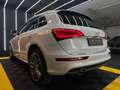 Audi Q5 3.0 TDI quattro PANO*S-Line*Anhängerkupplung Blanc - thumbnail 12