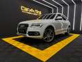 Audi Q5 3.0 TDI quattro PANO*S-Line*Anhängerkupplung Blanc - thumbnail 2