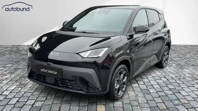 BYD Dolphin Surf