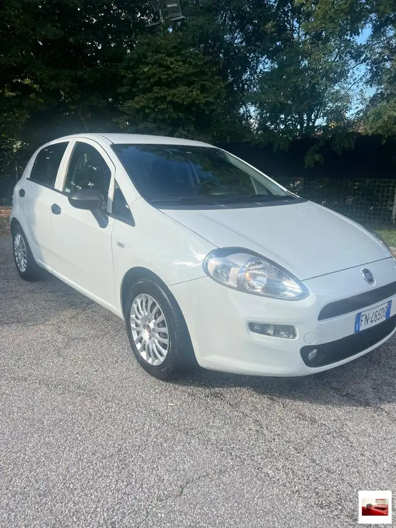 Fiat Punto 1.3 MJT II S&S 95 CV 5p. Street Bianco - 2