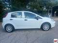 Fiat Punto 1.3 MJT II S&S 95 CV 5p. Street Bianco - thumbnail 10