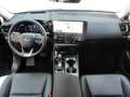 Lexus NX 350h Executive Line *Bi-LED*360°*HUD*el Heck* Schwarz - thumbnail 13