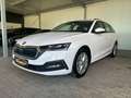 Skoda Octavia Ambition iV Blanc - thumbnail 8